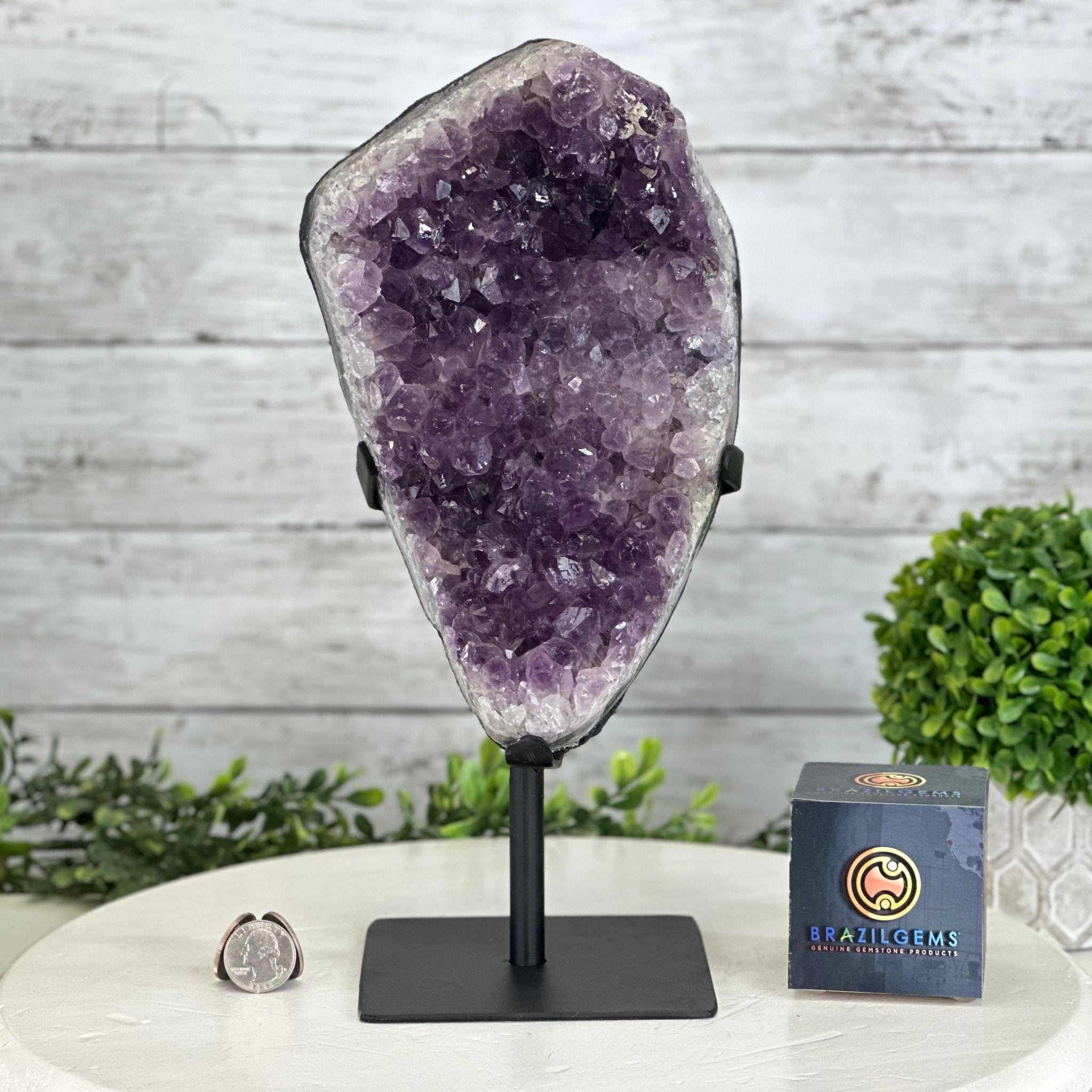 Quality Amethyst Cluster on a Metal Base, 9.3 lbs & 12.5" Tall #5491 - 0051 - Brazil GemsBrazil GemsQuality Amethyst Cluster on a Metal Base, 9.3 lbs & 12.5" Tall #5491 - 0051Clusters on Fixed Bases5491 - 0051