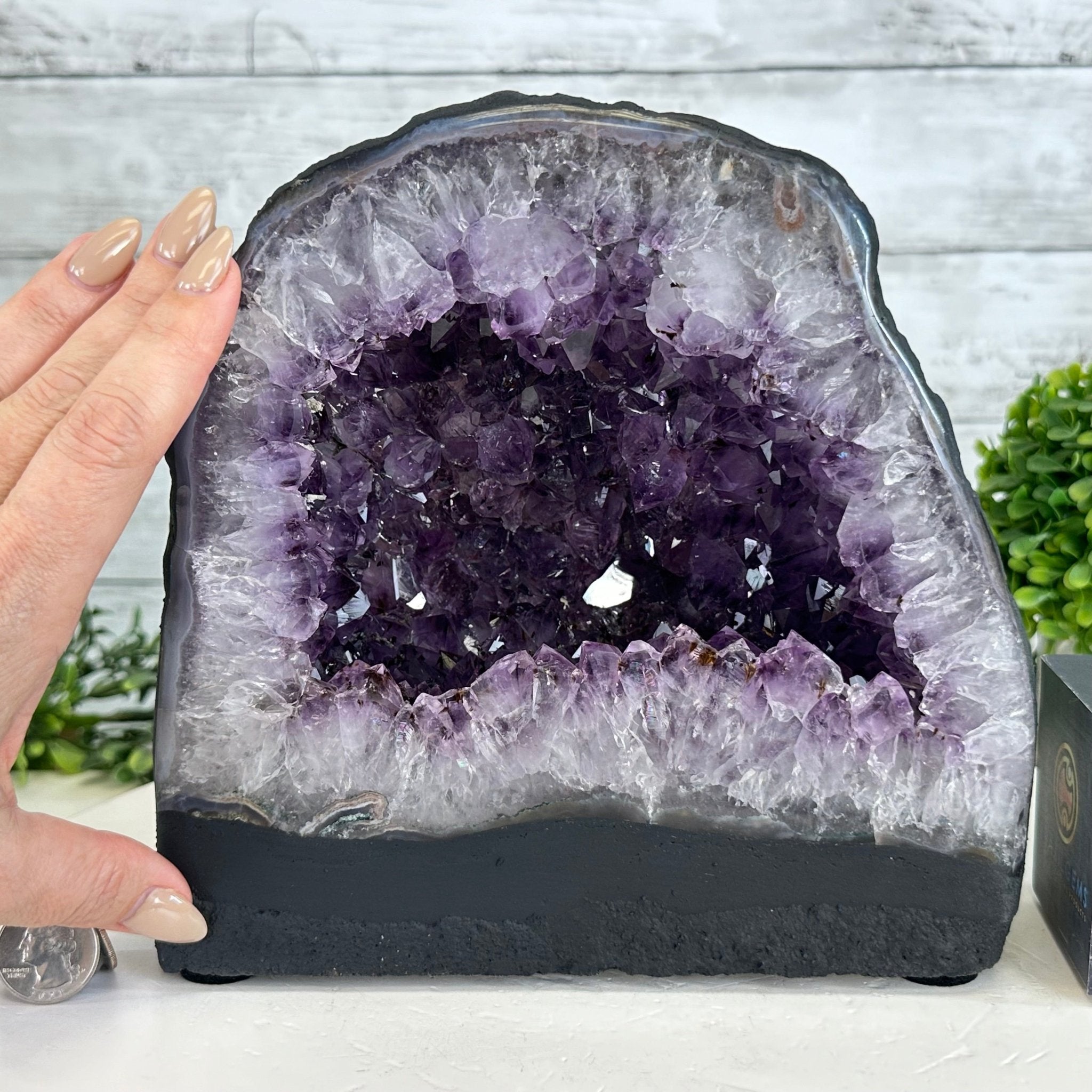 Quality Brazilian Amethyst Cathedral, 12.8 lbs & 8.1" Tall, #5601 - 1361 - Brazil GemsBrazil GemsQuality Brazilian Amethyst Cathedral, 12.8 lbs & 8.1" Tall, #5601 - 1361Cathedrals5601 - 1361