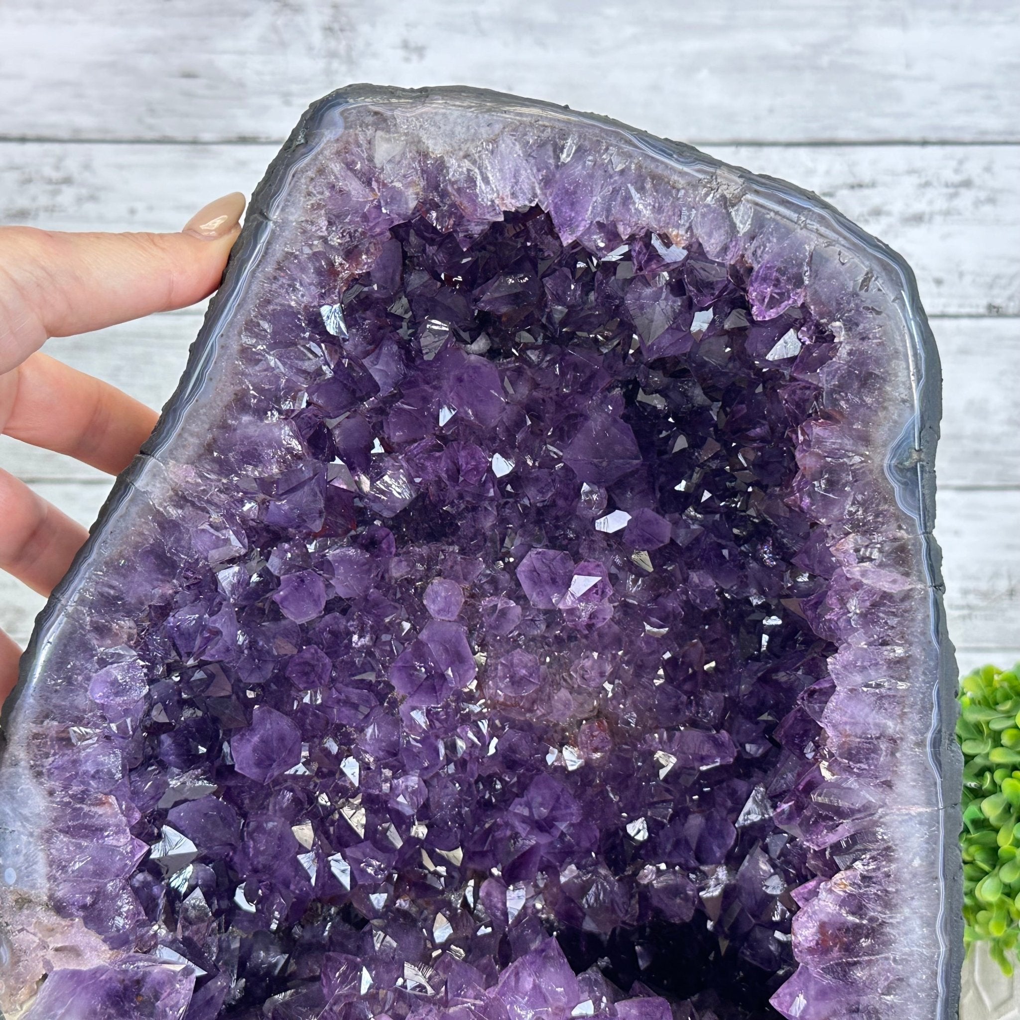 Quality Brazilian Amethyst Cathedral, 30.6 lbs & 12.9" Tall, #5601 - 1406 - Brazil GemsBrazil GemsQuality Brazilian Amethyst Cathedral, 30.6 lbs & 12.9" Tall, #5601 - 1406Cathedrals5601 - 1406
