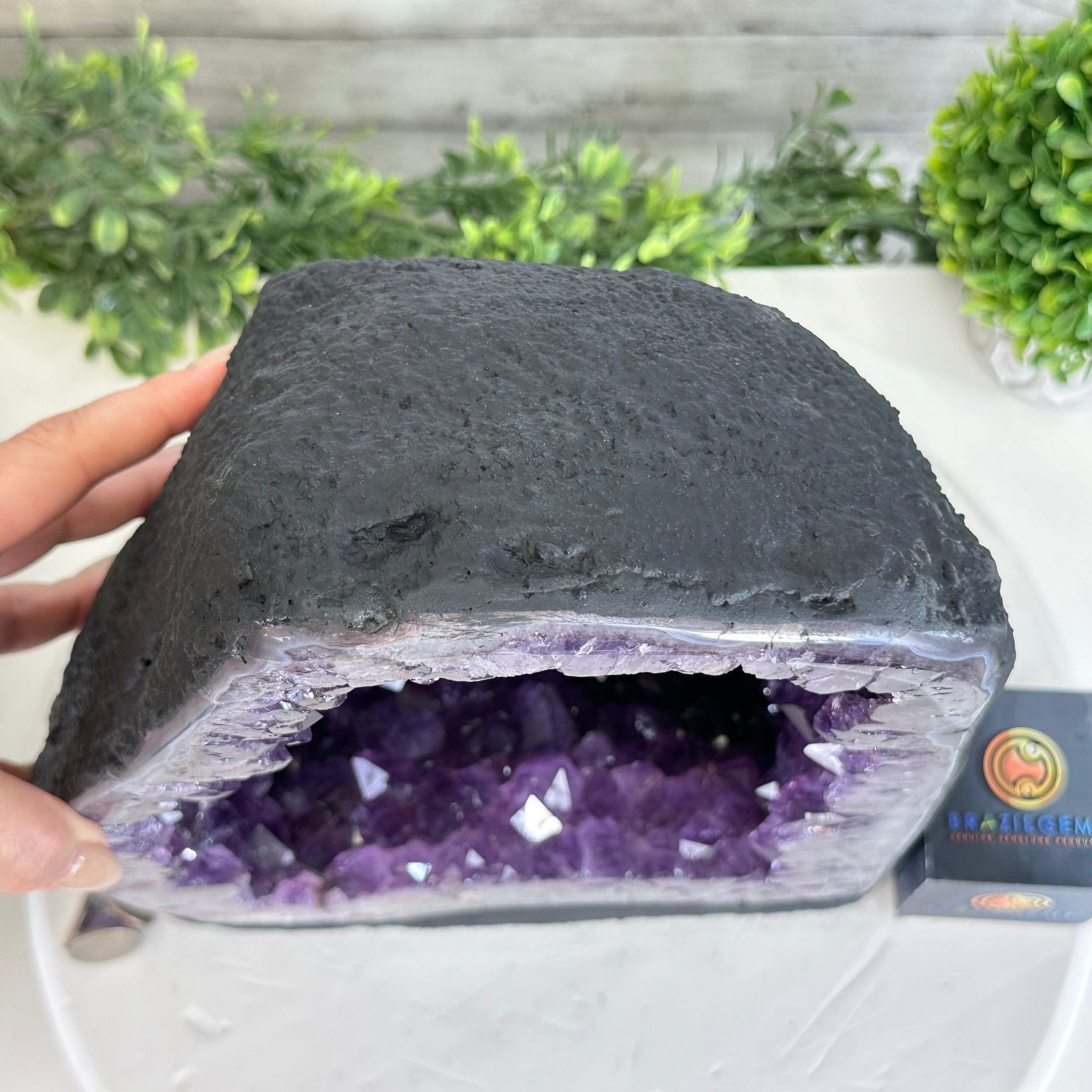 Quality Brazilian Amethyst Cathedral, 30.6 lbs & 12.9" Tall, #5601 - 1406 - Brazil GemsBrazil GemsQuality Brazilian Amethyst Cathedral, 30.6 lbs & 12.9" Tall, #5601 - 1406Cathedrals5601 - 1406