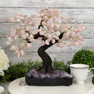 Rose Quartz 14" Tall Handmade Gemstone Tree on a Crystal base, 180 Gems #5404ROSQ - Brazil GemsBrazil GemsRose Quartz 14" Tall Handmade Gemstone Tree on a Crystal base, 180 Gems #5404ROSQGemstone Trees5404ROSQ