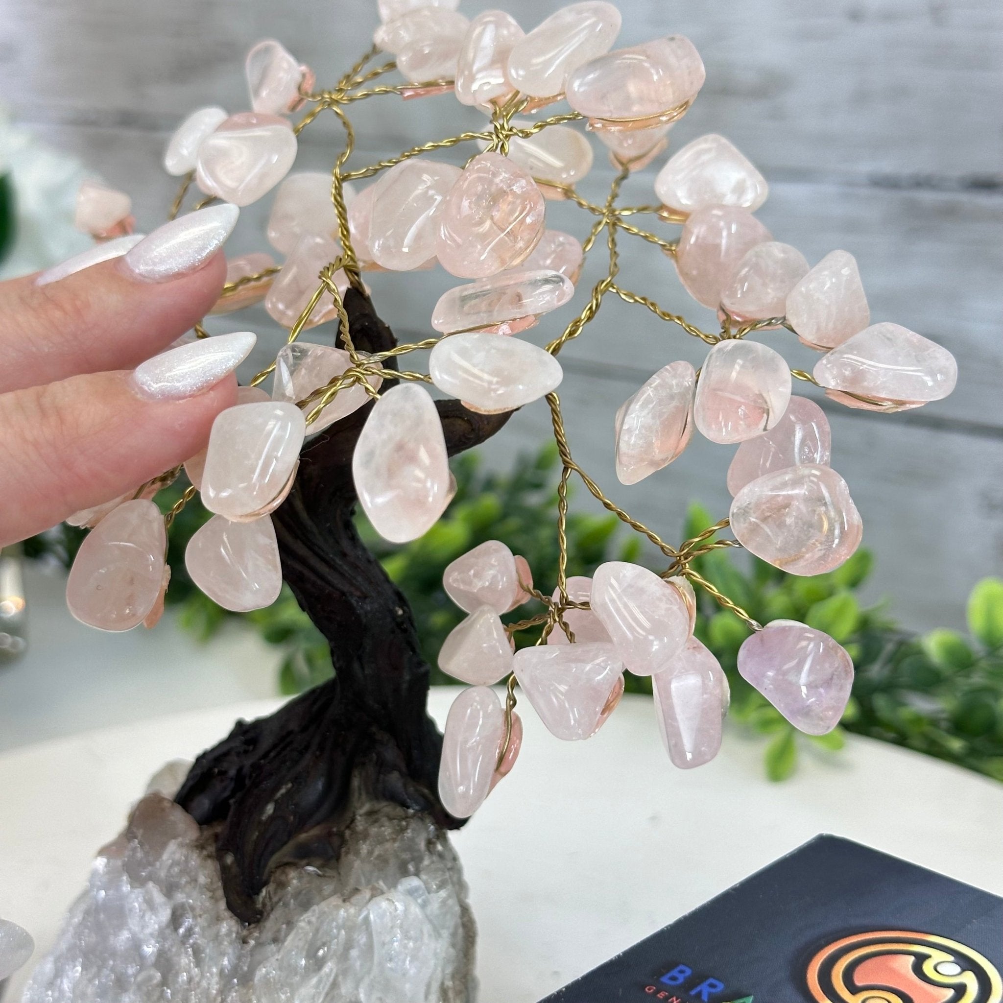 Rose Quartz 7" Tall Handmade Gemstone Tree on a Crystal base, 60 Gems #5402ROSQ - Brazil GemsBrazil GemsRose Quartz 7" Tall Handmade Gemstone Tree on a Crystal base, 60 Gems #5402ROSQGemstone Trees5402ROSQ