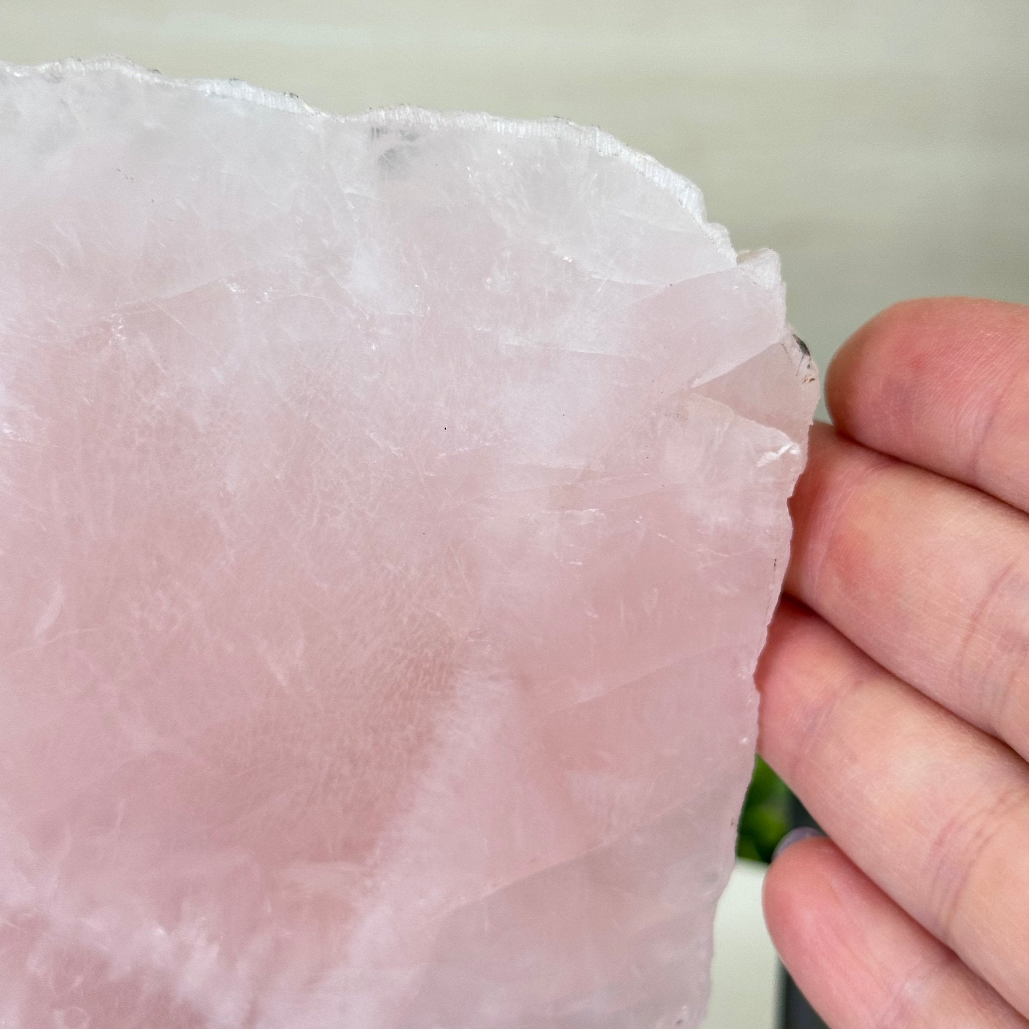 Rose Quartz Polished Slice on a Wood Base 6.5" Tall #6100RQ - 027 - Brazil GemsBrazil GemsRose Quartz Polished Slice on a Wood Base 6.5" Tall #6100RQ - 027Slices on Wood Bases6100RQ - 027