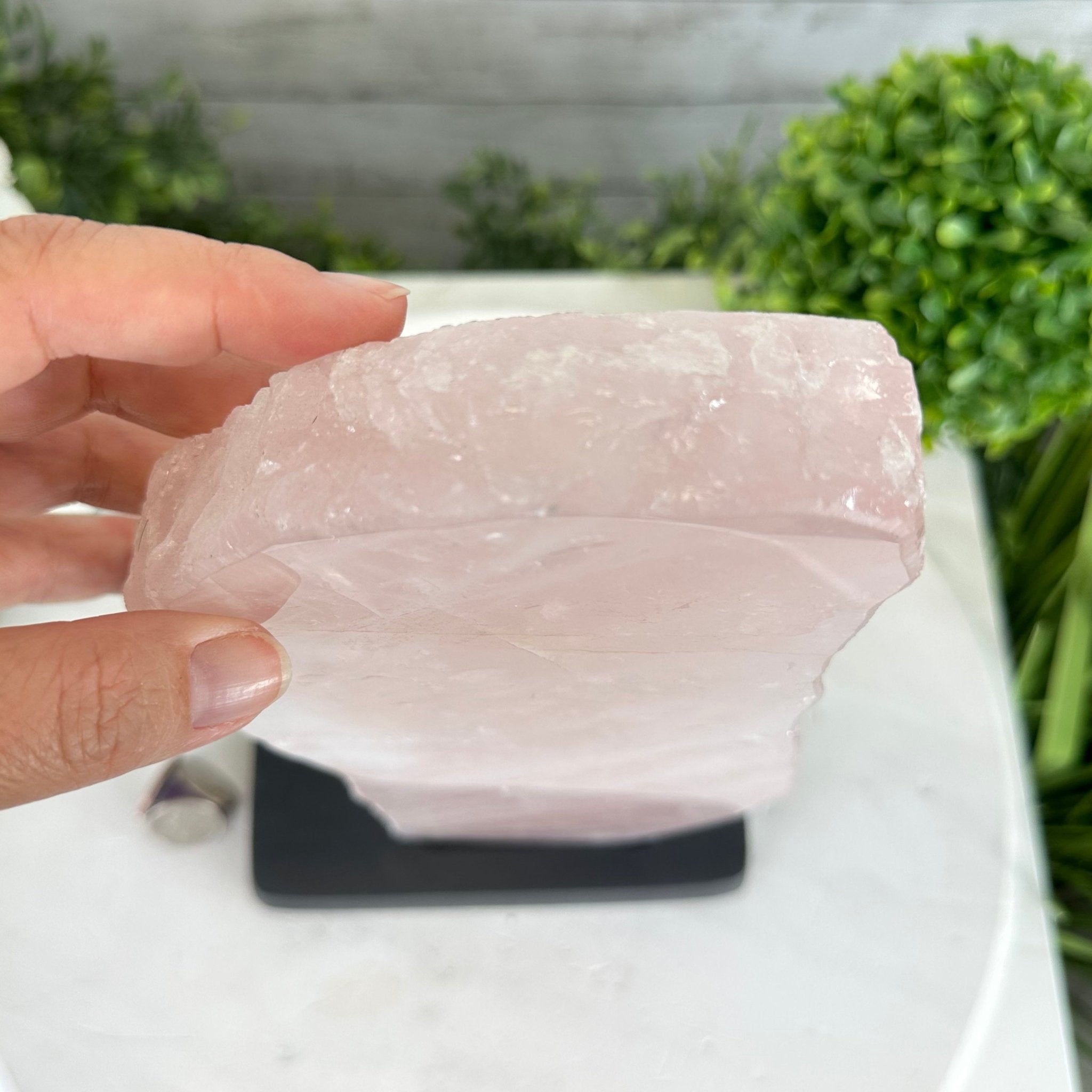 Rose Quartz Polished Slice with Rough Edges on a Wood Base Model 12.25" Tall Model #6100RQ-044 by Brazil Gems - Brazil GemsBrazil GemsRose Quartz Polished Slice with Rough Edges on a Wood Base Model 12.25" Tall Model #6100RQ-044 by Brazil GemsSlices on Wood Bases6100RQ-044
