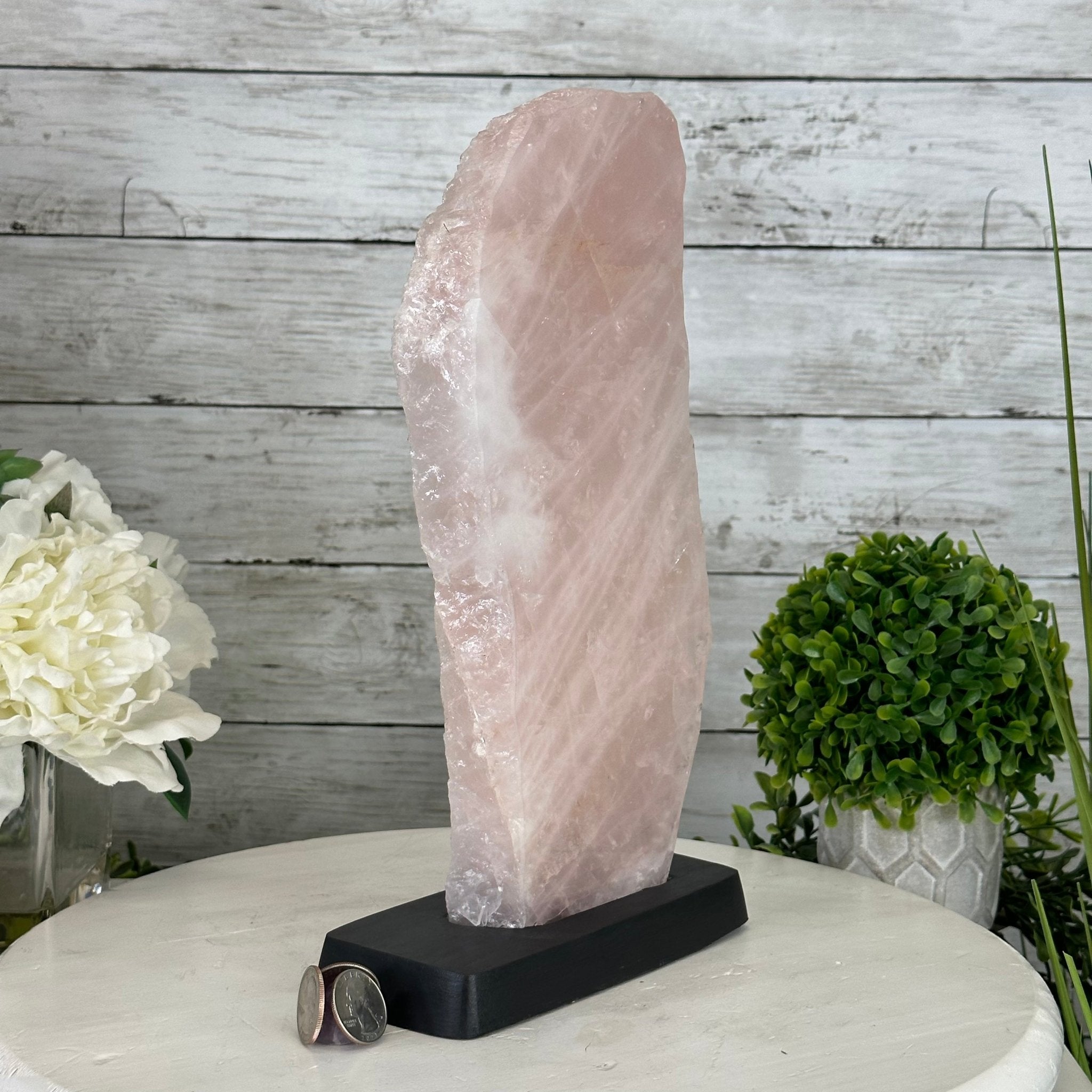 Rose Quartz Polished Slice with Rough Edges on a Wood Base Model 12.25" Tall Model #6100RQ-044 by Brazil Gems - Brazil GemsBrazil GemsRose Quartz Polished Slice with Rough Edges on a Wood Base Model 12.25" Tall Model #6100RQ-044 by Brazil GemsSlices on Wood Bases6100RQ-044