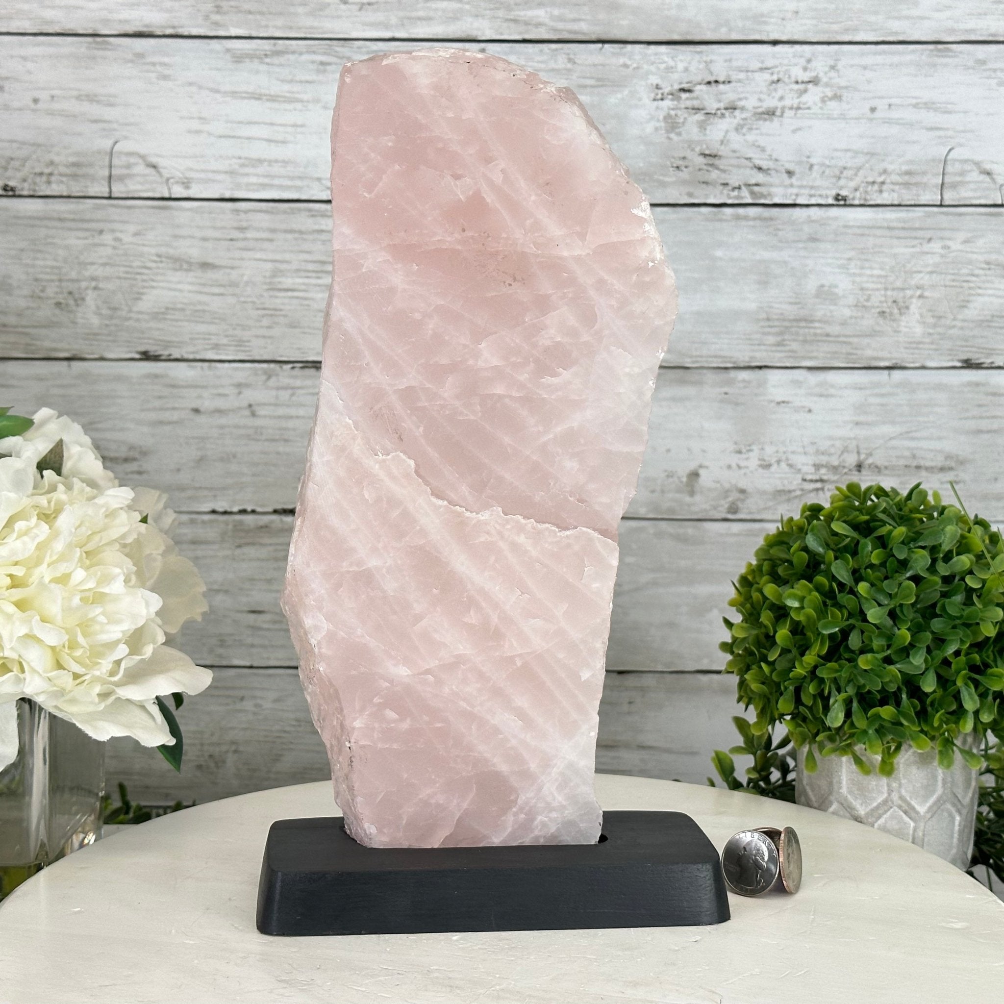 Rose Quartz Polished Slice with Rough Edges on a Wood Base Model 12.25" Tall Model #6100RQ-044 by Brazil Gems - Brazil GemsBrazil GemsRose Quartz Polished Slice with Rough Edges on a Wood Base Model 12.25" Tall Model #6100RQ-044 by Brazil GemsSlices on Wood Bases6100RQ-044