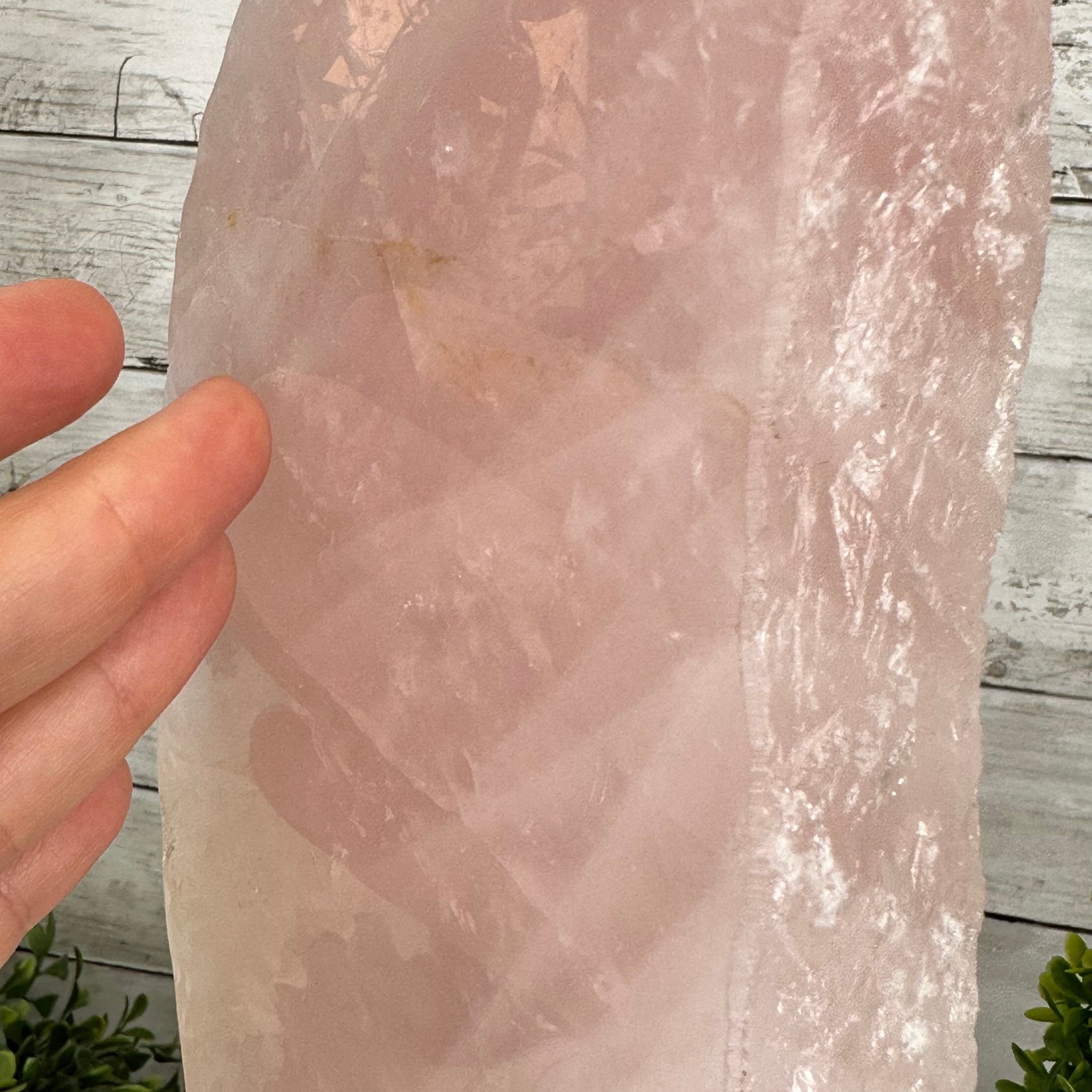 Rose Quartz Polished Slice with Rough Edges on a Wood Base Model 12.25" Tall Model #6100RQ-044 by Brazil Gems - Brazil GemsBrazil GemsRose Quartz Polished Slice with Rough Edges on a Wood Base Model 12.25" Tall Model #6100RQ-044 by Brazil GemsSlices on Wood Bases6100RQ-044