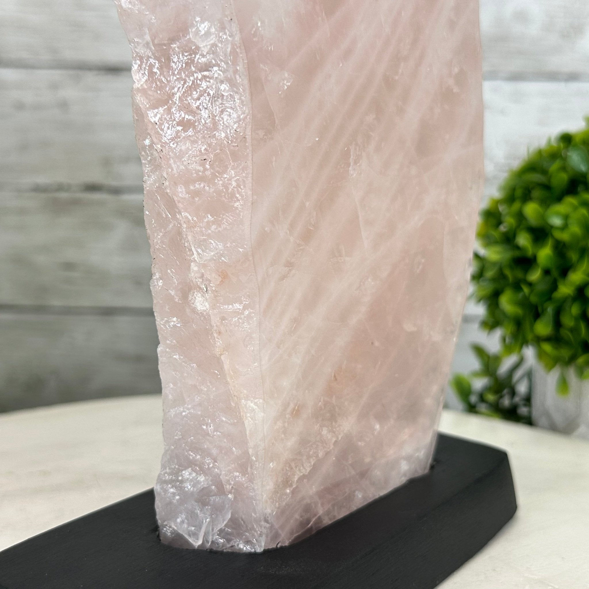 Rose Quartz Polished Slice with Rough Edges on a Wood Base Model 12.25" Tall Model #6100RQ-044 by Brazil Gems - Brazil GemsBrazil GemsRose Quartz Polished Slice with Rough Edges on a Wood Base Model 12.25" Tall Model #6100RQ-044 by Brazil GemsSlices on Wood Bases6100RQ-044