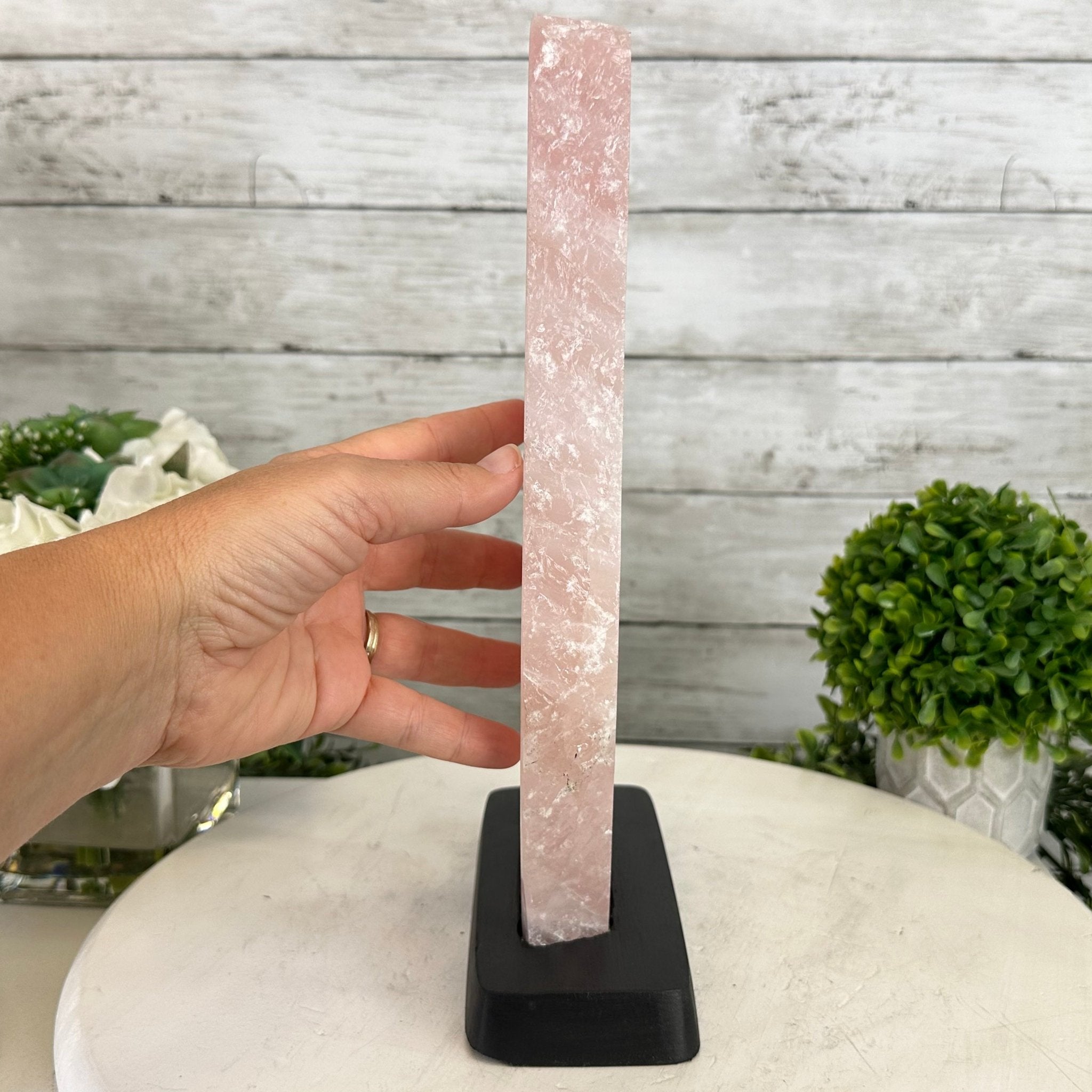 Rose Quartz Polished Slice with Rough Edges on a Wood Base Model 12.25" Tall Model #6100RQ-044 by Brazil Gems - Brazil GemsBrazil GemsRose Quartz Polished Slice with Rough Edges on a Wood Base Model 12.25" Tall Model #6100RQ-044 by Brazil GemsSlices on Wood Bases6100RQ-044