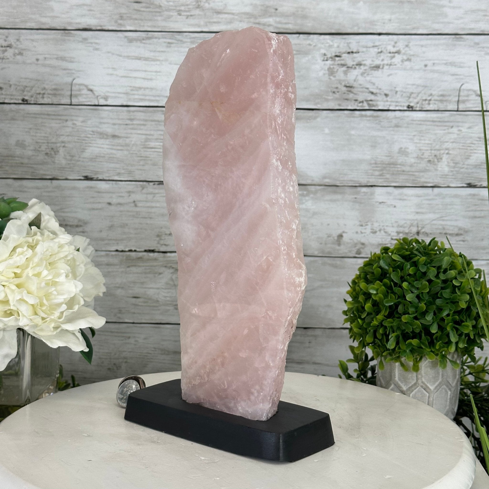 Rose Quartz Polished Slice with Rough Edges on a Wood Base Model 12.25" Tall Model #6100RQ-044 by Brazil Gems - Brazil GemsBrazil GemsRose Quartz Polished Slice with Rough Edges on a Wood Base Model 12.25" Tall Model #6100RQ-044 by Brazil GemsSlices on Wood Bases6100RQ-044