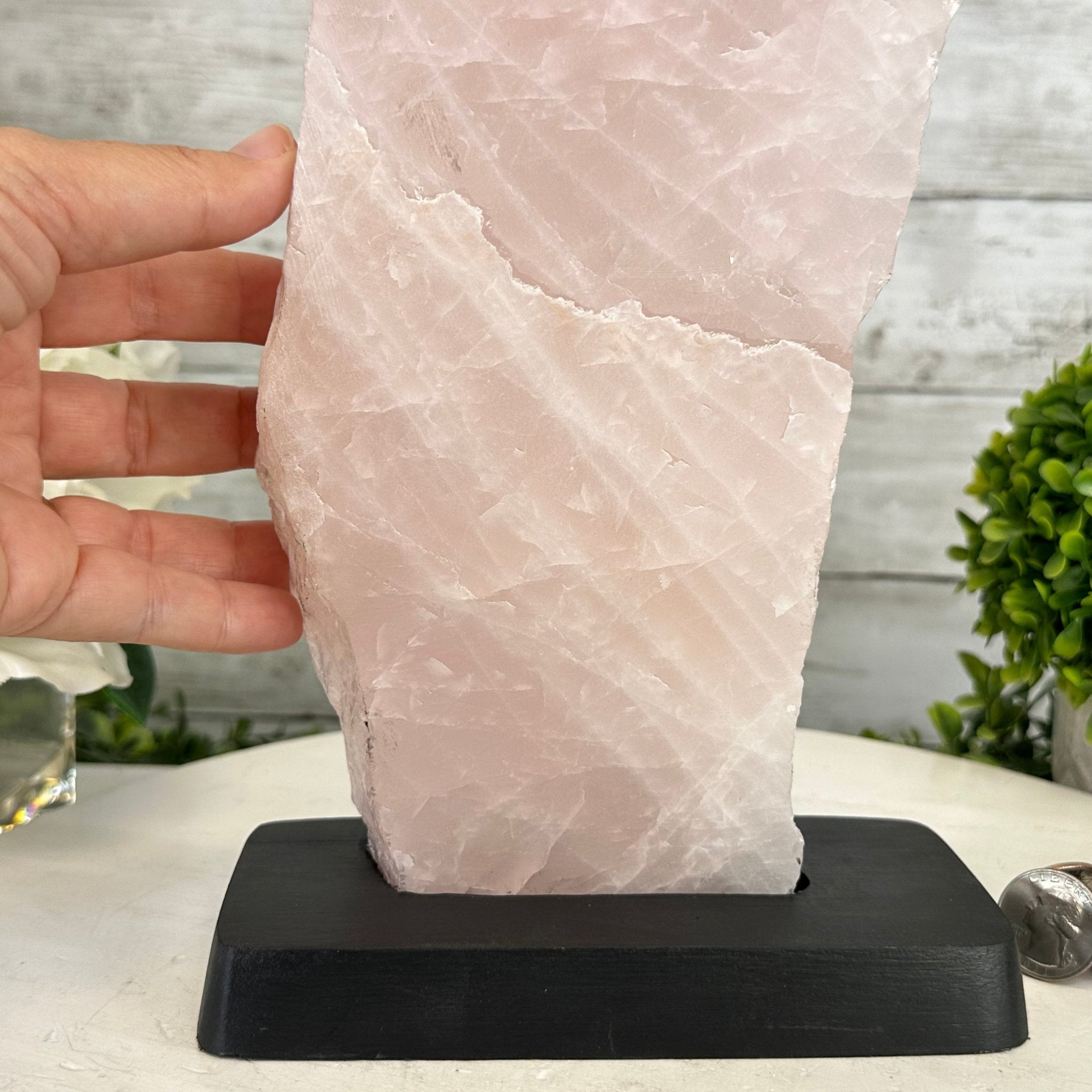 Rose Quartz Polished Slice with Rough Edges on a Wood Base Model 12.25" Tall Model #6100RQ-044 by Brazil Gems - Brazil GemsBrazil GemsRose Quartz Polished Slice with Rough Edges on a Wood Base Model 12.25" Tall Model #6100RQ-044 by Brazil GemsSlices on Wood Bases6100RQ-044