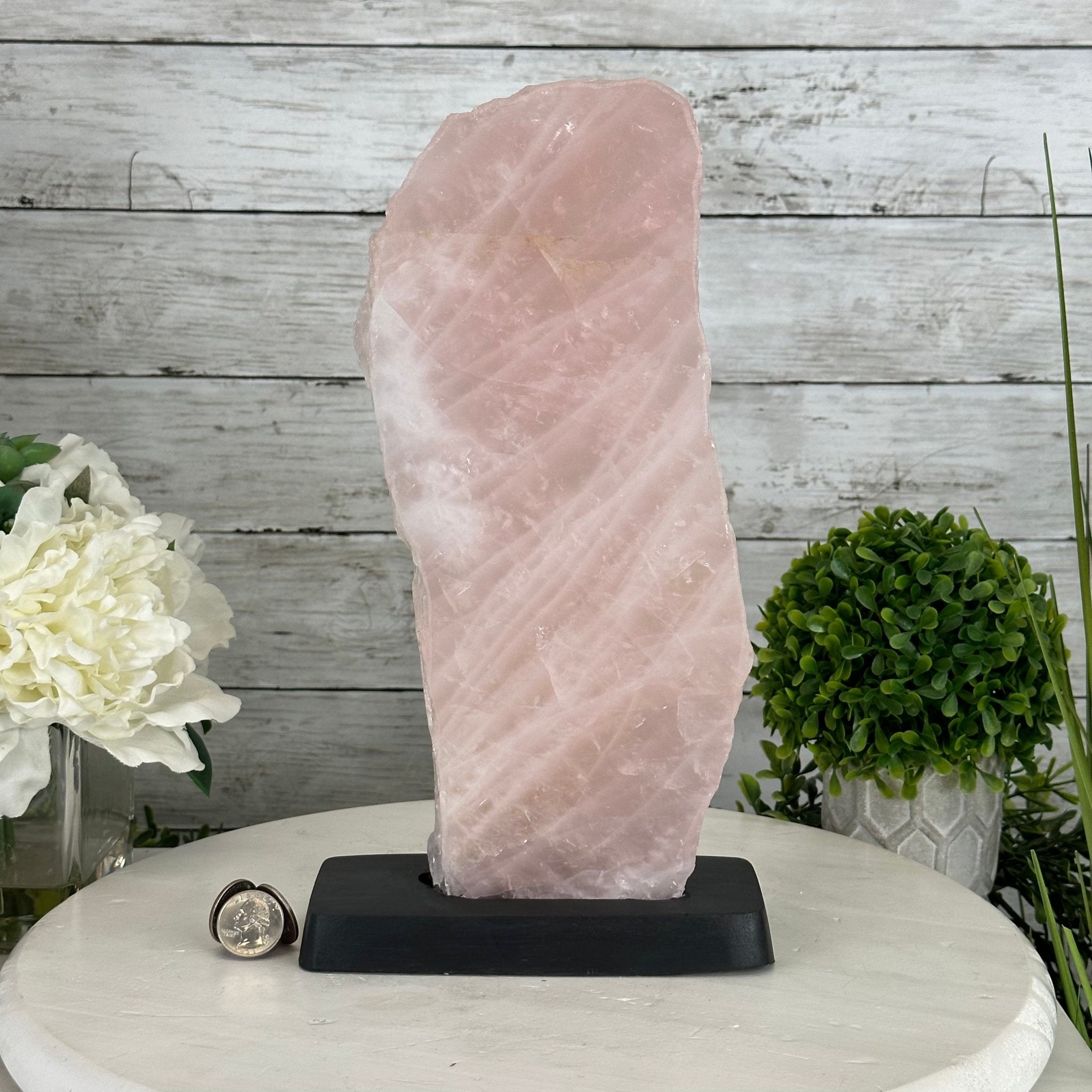 Rose Quartz Polished Slice with Rough Edges on a Wood Base Model 12.25" Tall Model #6100RQ-044 by Brazil Gems - Brazil GemsBrazil GemsRose Quartz Polished Slice with Rough Edges on a Wood Base Model 12.25" Tall Model #6100RQ-044 by Brazil GemsSlices on Wood Bases6100RQ-044
