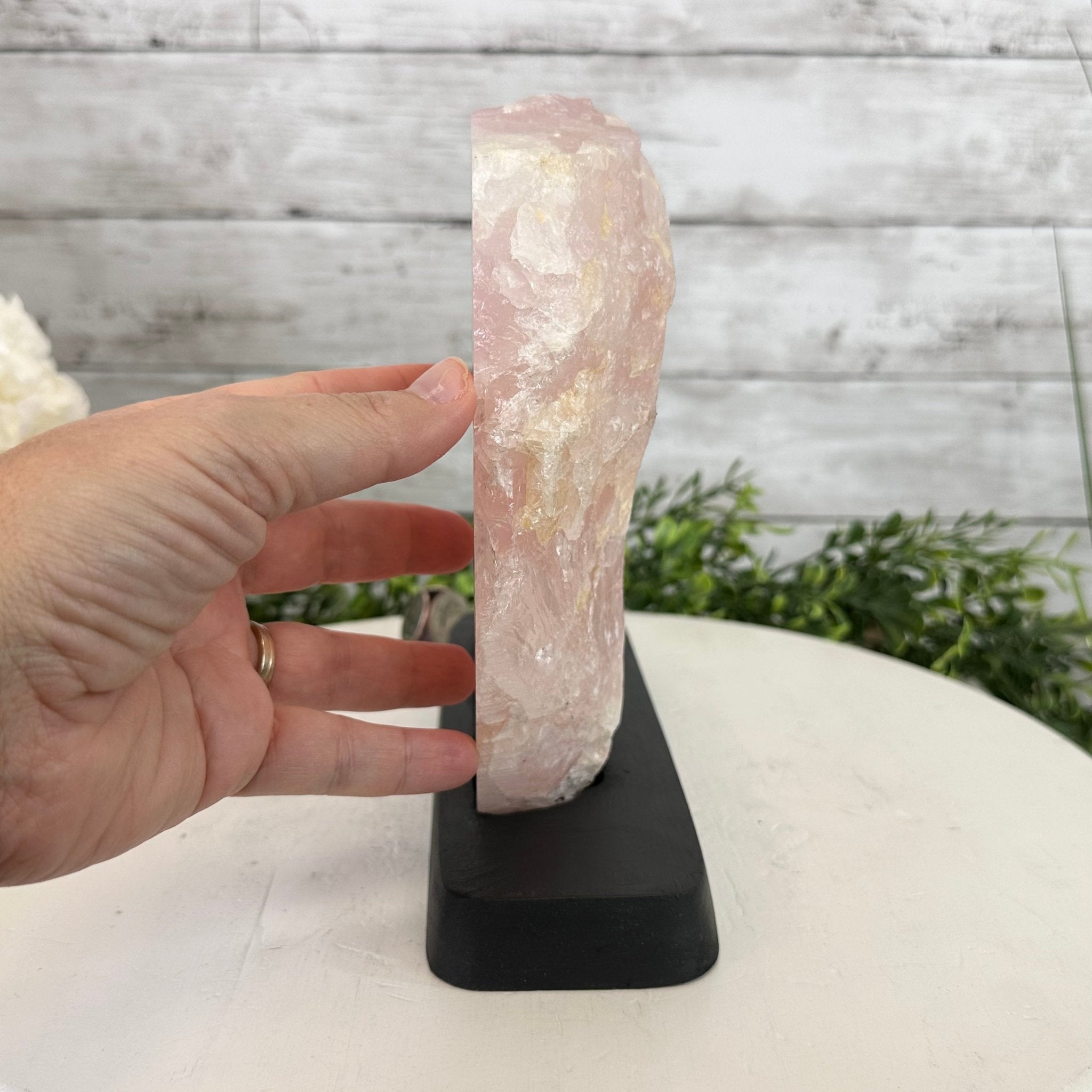 Rose Quartz Polished Slice with Rough Edges on a Wood Base Model 8" Tall Model #6100RQ-049 by Brazil Gems - Brazil GemsBrazil GemsRose Quartz Polished Slice with Rough Edges on a Wood Base Model 8" Tall Model #6100RQ-049 by Brazil GemsSlices on Wood Bases6100RQ-049