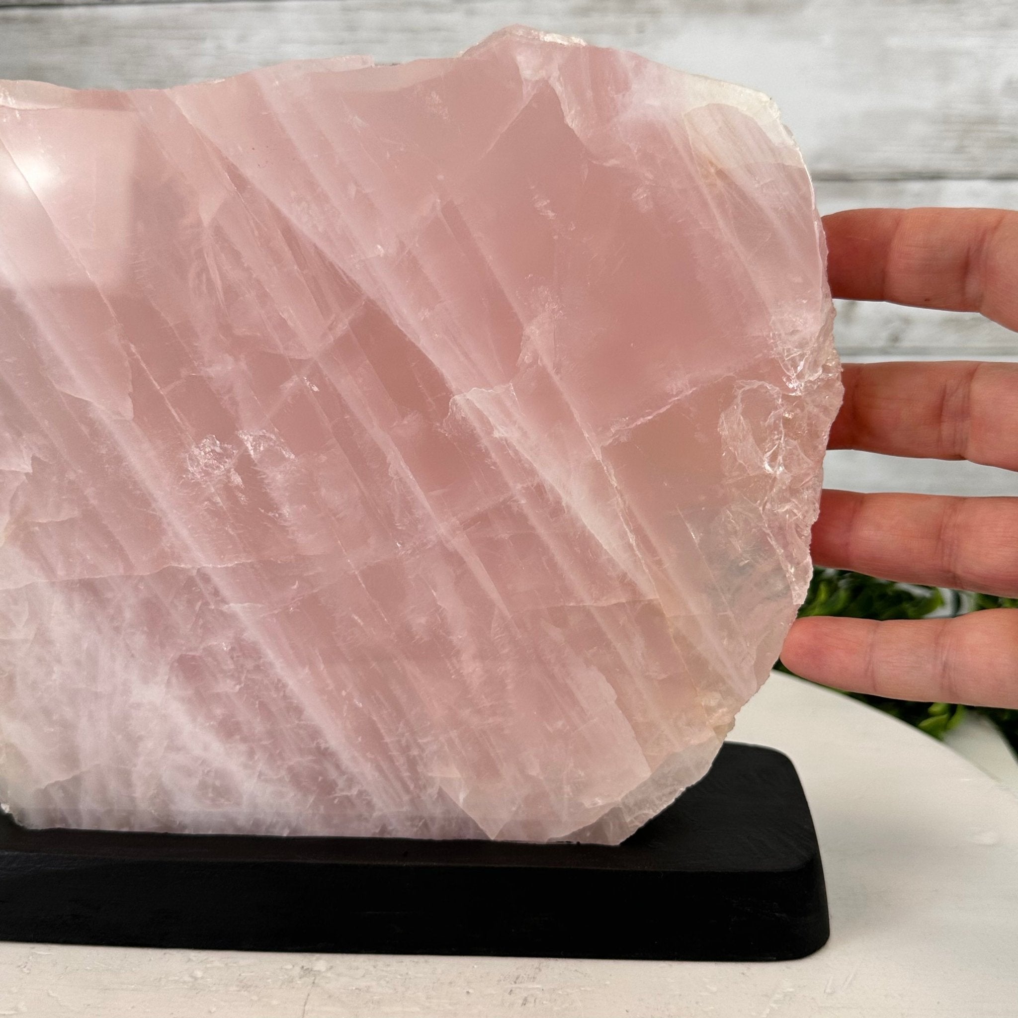 Rose Quartz Polished Slice with Rough Edges on a Wood Base Model 8" Tall Model #6100RQ-049 by Brazil Gems - Brazil GemsBrazil GemsRose Quartz Polished Slice with Rough Edges on a Wood Base Model 8" Tall Model #6100RQ-049 by Brazil GemsSlices on Wood Bases6100RQ-049