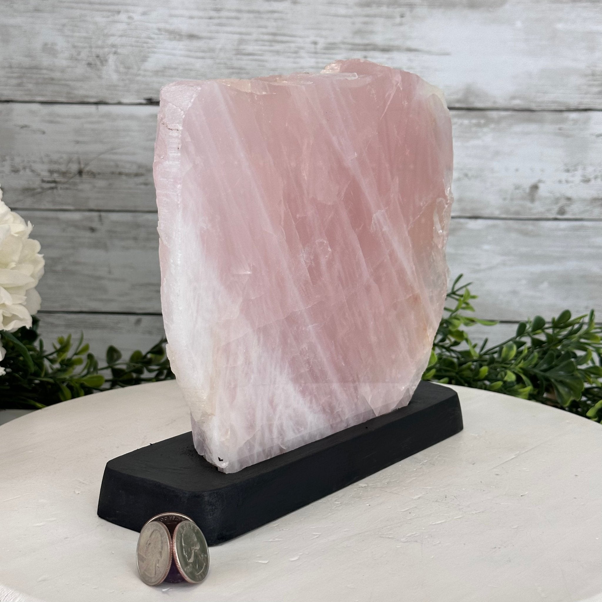 Rose Quartz Polished Slice with Rough Edges on a Wood Base Model 8" Tall Model #6100RQ-049 by Brazil Gems - Brazil GemsBrazil GemsRose Quartz Polished Slice with Rough Edges on a Wood Base Model 8" Tall Model #6100RQ-049 by Brazil GemsSlices on Wood Bases6100RQ-049