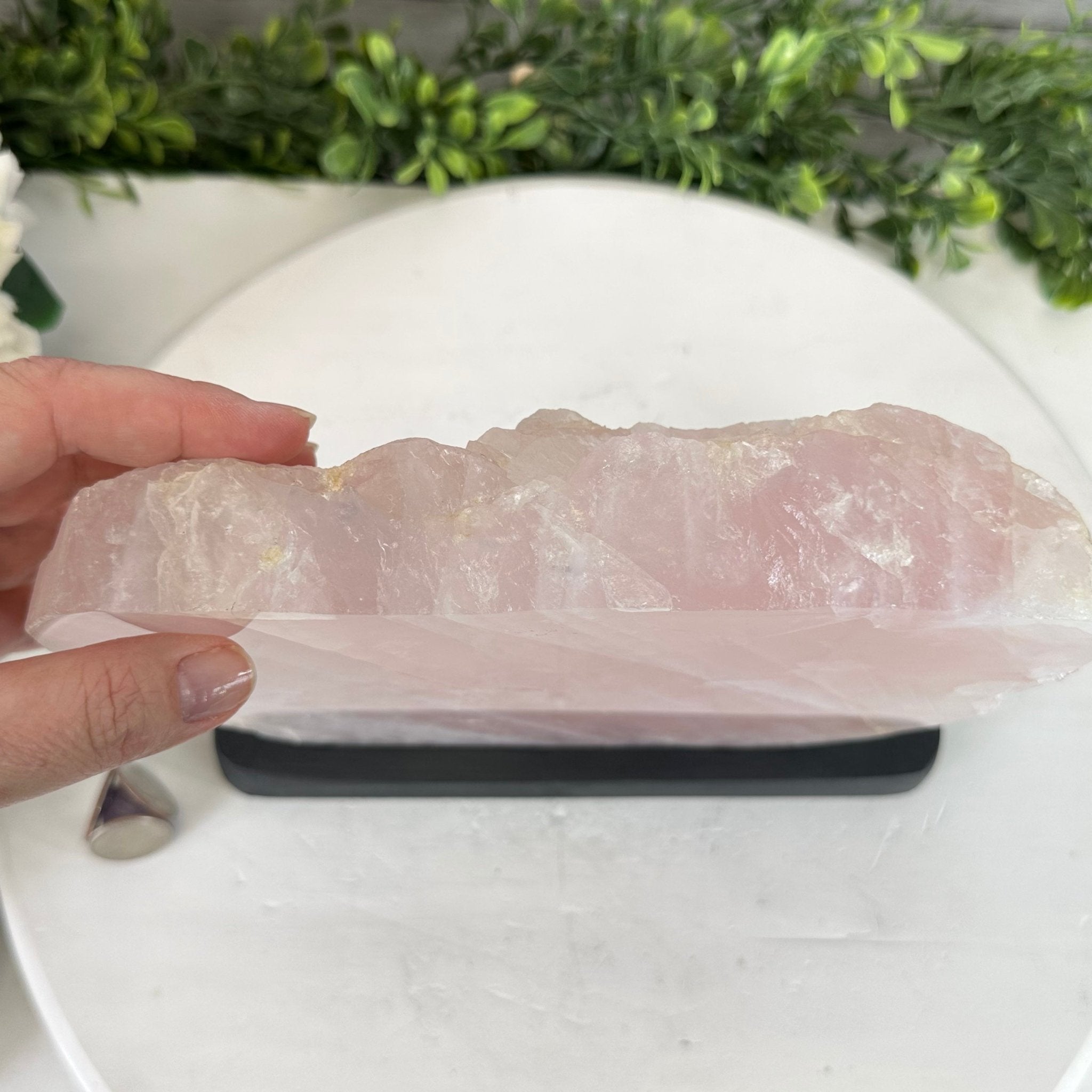 Rose Quartz Polished Slice with Rough Edges on a Wood Base Model 8" Tall Model #6100RQ-049 by Brazil Gems - Brazil GemsBrazil GemsRose Quartz Polished Slice with Rough Edges on a Wood Base Model 8" Tall Model #6100RQ-049 by Brazil GemsSlices on Wood Bases6100RQ-049
