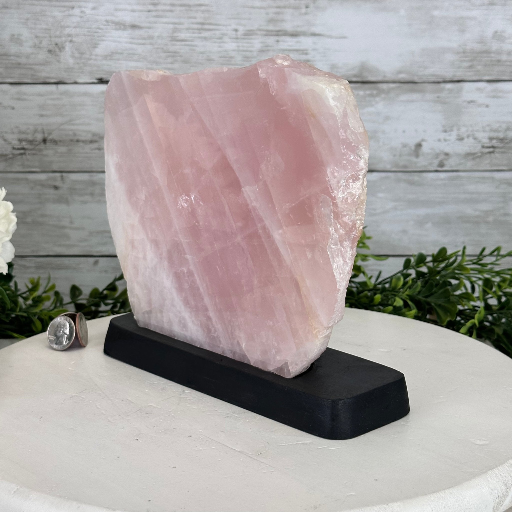 Rose Quartz Polished Slice with Rough Edges on a Wood Base Model 8" Tall Model #6100RQ-049 by Brazil Gems - Brazil GemsBrazil GemsRose Quartz Polished Slice with Rough Edges on a Wood Base Model 8" Tall Model #6100RQ-049 by Brazil GemsSlices on Wood Bases6100RQ-049