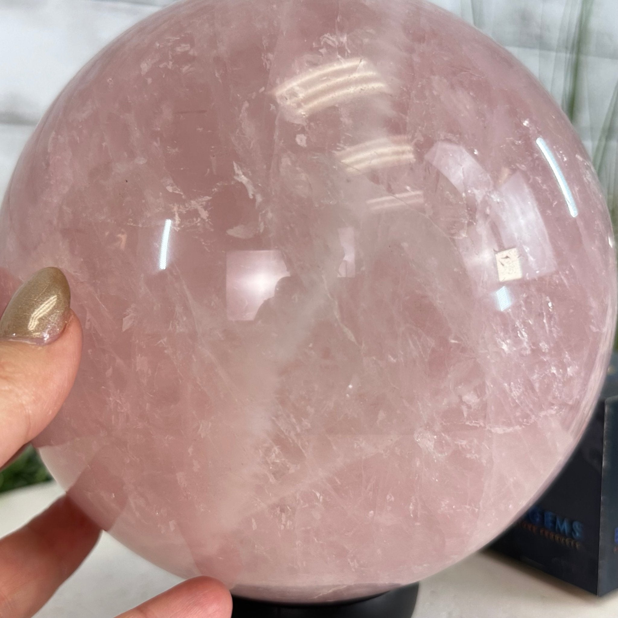 Rose Quartz Sphere on a Wood Base, 12.2 lbs & 7.4" Tall #5632 - 0019 - Brazil GemsBrazil GemsRose Quartz Sphere on a Wood Base, 12.2 lbs & 7.4" Tall #5632 - 0019Spheres5632 - 0019