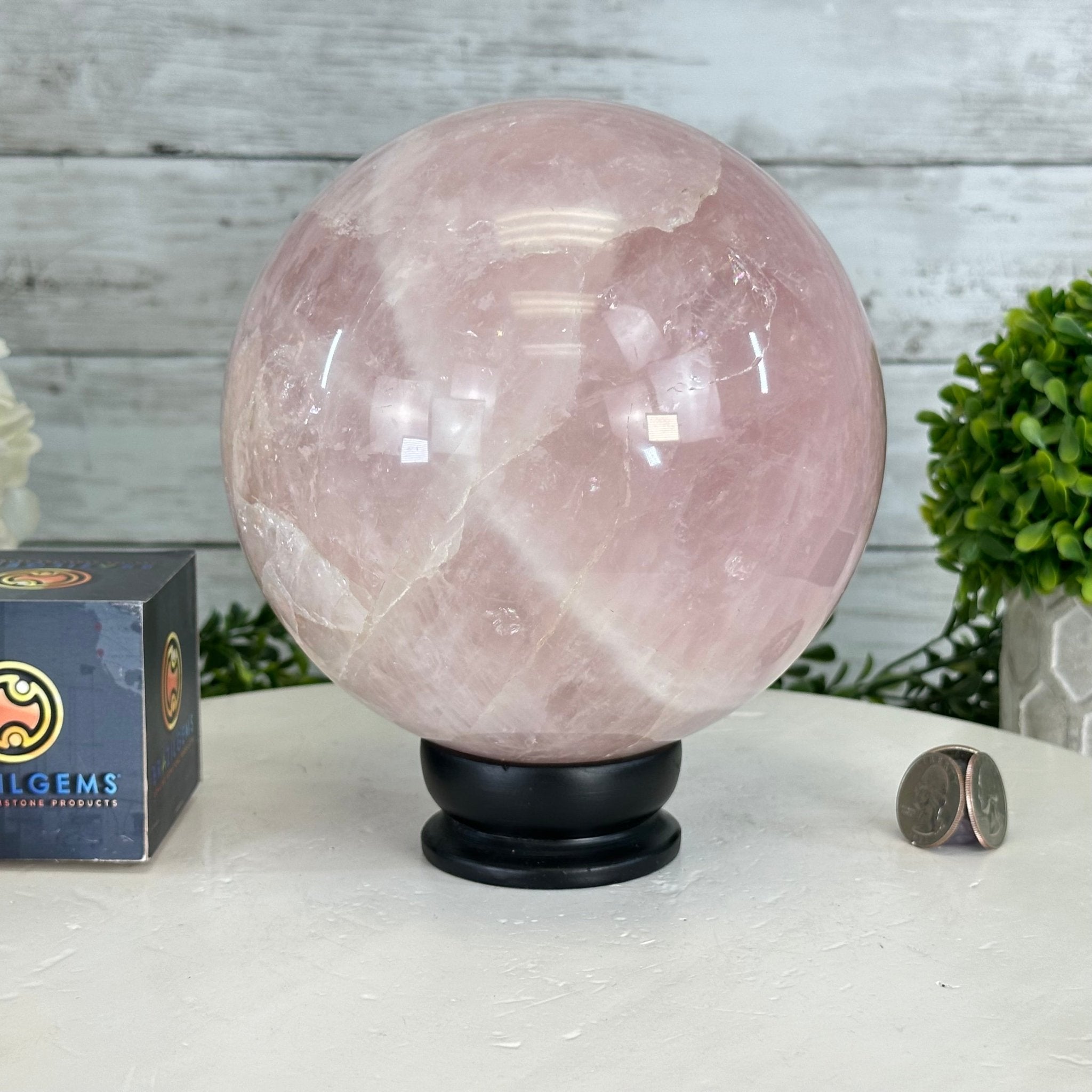 Rose Quartz Sphere on a Wood Base, 12.2 lbs & 7.4" Tall #5632 - 0019 - Brazil GemsBrazil GemsRose Quartz Sphere on a Wood Base, 12.2 lbs & 7.4" Tall #5632 - 0019Spheres5632 - 0019