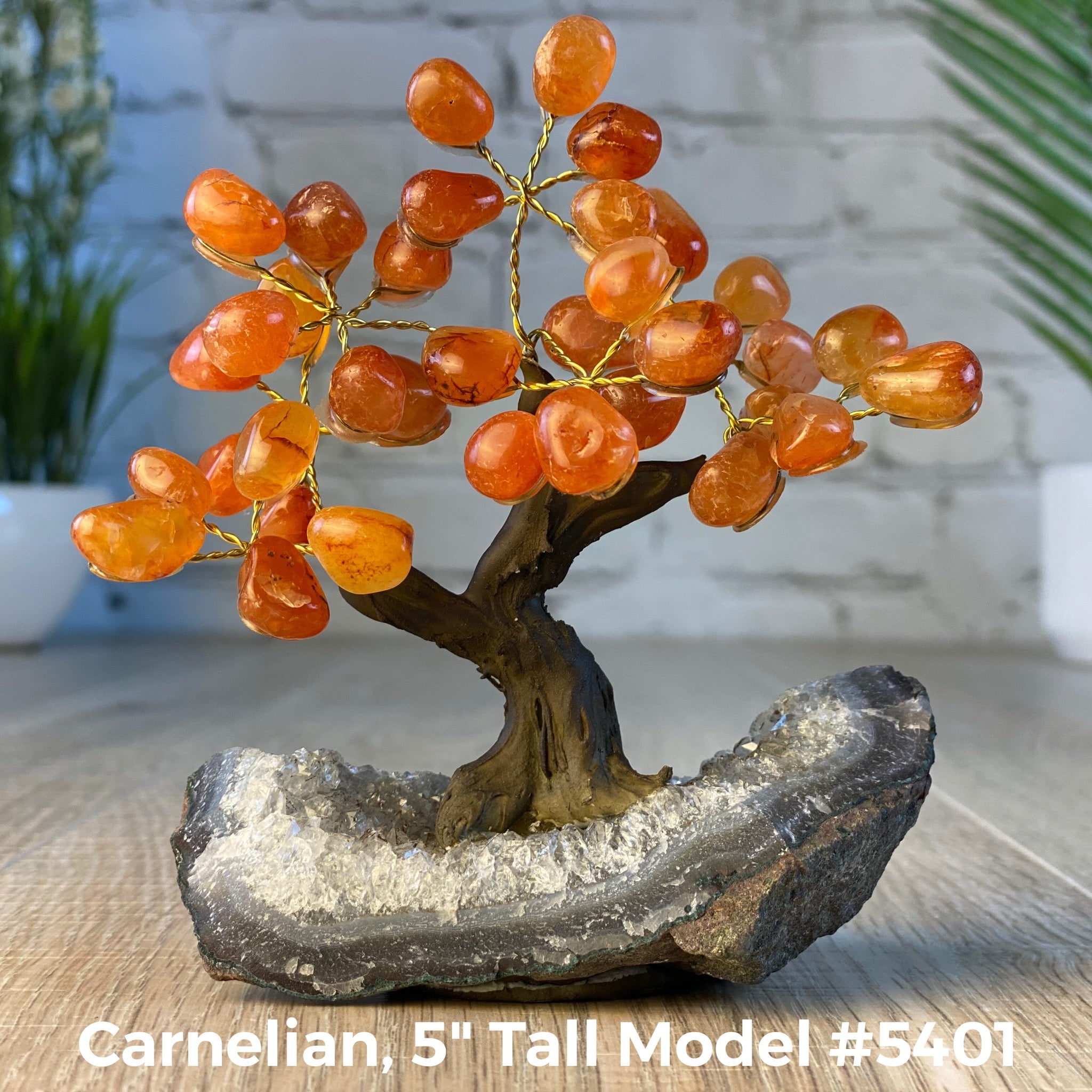 Set of 10 units - 5" Tall Handmade Gemstone Trees on an Amethyst Cluster base, 35 Total Gems, 12 Gem Options, Model #W5401-10 by Brazil Gems - Brazil GemsBrazil GemsSet of 10 units - 5" Tall Handmade Gemstone Trees on an Amethyst Cluster base, 35 Total Gems, 12 Gem Options, Model #W5401-10 by Brazil GemsGemstone Trees-WHW5401-10