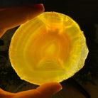 Set of 4 Agate Coasters in Natural, Pink, Green & Blue Dyed color mix, 3.5" to 4.5" each, 4 piece-set Model #5203PINK - Brazil GemsBrazil GemsSet of 4 Agate Coasters in Natural, Pink, Green & Blue Dyed color mix, 3.5" to 4.5" each, 4 piece-set Model #5203PINKCoaster Sets5203PINK