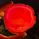 Set of 4 Agate Coasters in Natural, Pink, Green & Blue Dyed color mix, 3.5" to 4.5" each, 4 piece-set Model #5203PINK - Brazil GemsBrazil GemsSet of 4 Agate Coasters in Natural, Pink, Green & Blue Dyed color mix, 3.5" to 4.5" each, 4 piece-set Model #5203PINKCoaster Sets5203PINK