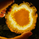 Set of 4 Agate Coasters in Natural, Pink, Green & Blue Dyed color mix, 3.5" to 4.5" each, 4 piece-set Model #5203PINK - Brazil GemsBrazil GemsSet of 4 Agate Coasters in Natural, Pink, Green & Blue Dyed color mix, 3.5" to 4.5" each, 4 piece-set Model #5203PINKCoaster Sets5203PINK