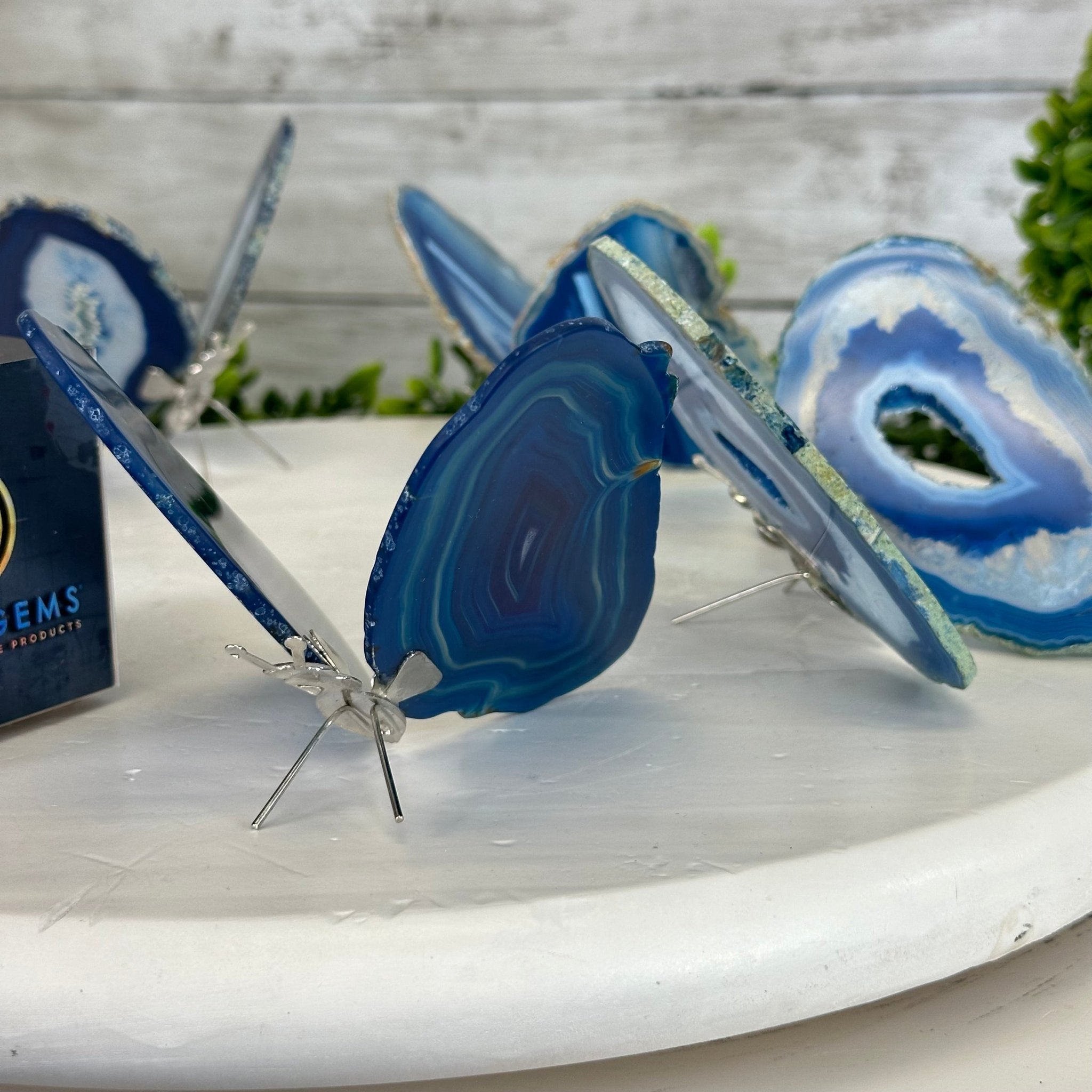 Small Blue Agate "Butterfly Wings", ~4" Length #5049BL - Brazil GemsBrazil GemsSmall Blue Agate "Butterfly Wings", ~4" Length #5049BLAgate Butterfly Wings5049BL-016