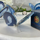 Small Blue Agate "Butterfly Wings", ~4" Length #5049BL - Brazil GemsBrazil GemsSmall Blue Agate "Butterfly Wings", ~4" Length #5049BLAgate Butterfly Wings5049BL-016