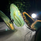 Small Green Agate "Butterfly Wings", ~ 4" Length #5049GR - Brazil GemsBrazil GemsSmall Green Agate "Butterfly Wings", ~ 4" Length #5049GRAgate Butterfly Wings5049GR-015