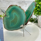 Small Green Agate "Butterfly Wings", ~ 4" Length #5049GR - Brazil GemsBrazil GemsSmall Green Agate "Butterfly Wings", ~ 4" Length #5049GRAgate Butterfly Wings5049GR-015