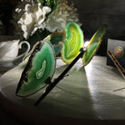 Small Green Agate "Butterfly Wings", ~ 4" Length #5049GR - Brazil GemsBrazil GemsSmall Green Agate "Butterfly Wings", ~ 4" Length #5049GRAgate Butterfly Wings5049GR-015