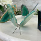 Small Green Agate "Butterfly Wings", ~ 4" Length #5049GR - Brazil GemsBrazil GemsSmall Green Agate "Butterfly Wings", ~ 4" Length #5049GRAgate Butterfly Wings5049GR-015