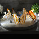 Small Natural Brazilian Agate "Butterfly Wings", ~4" Length #5049NA - Brazil GemsBrazil GemsSmall Natural Brazilian Agate "Butterfly Wings", ~4" Length #5049NAAgate Butterfly Wings5049NA-027