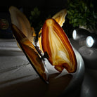 Small Natural Brazilian Agate "Butterfly Wings", ~4" Length #5049NA - Brazil GemsBrazil GemsSmall Natural Brazilian Agate "Butterfly Wings", ~4" Length #5049NAAgate Butterfly Wings5049NA-027