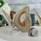 Small Natural Brazilian Agate "Butterfly Wings", ~4" Length #5049NA - Brazil GemsBrazil GemsSmall Natural Brazilian Agate "Butterfly Wings", ~4" Length #5049NAAgate Butterfly Wings5049NA-027