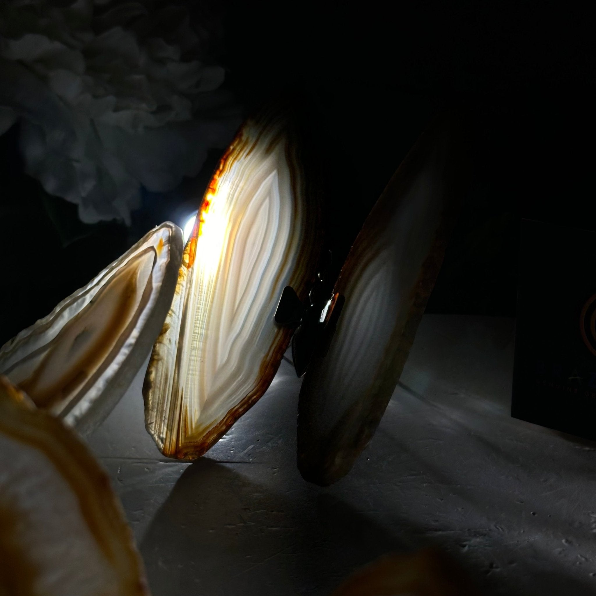 Small Natural Brazilian Agate "Butterfly Wings", ~4" Length #5049NA - Brazil GemsBrazil GemsSmall Natural Brazilian Agate "Butterfly Wings", ~4" Length #5049NAAgate Butterfly Wings5049NA-027