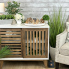 Small Natural Brazilian Agate "Butterfly Wings", ~4" Length #5049NA - Brazil GemsBrazil GemsSmall Natural Brazilian Agate "Butterfly Wings", ~4" Length #5049NAAgate Butterfly Wings5049NA-027