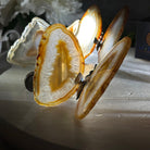 Small Natural Brazilian Agate "Butterfly Wings", ~4" Length #5049NA - Brazil GemsBrazil GemsSmall Natural Brazilian Agate "Butterfly Wings", ~4" Length #5049NAAgate Butterfly Wings5049NA-027