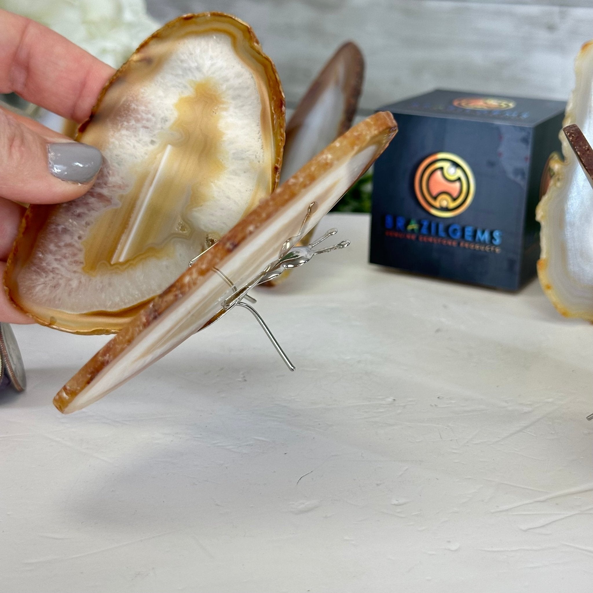Small Natural Brazilian Agate "Butterfly Wings", ~4" Length #5049NA - Brazil GemsBrazil GemsSmall Natural Brazilian Agate "Butterfly Wings", ~4" Length #5049NAAgate Butterfly Wings5049NA-027