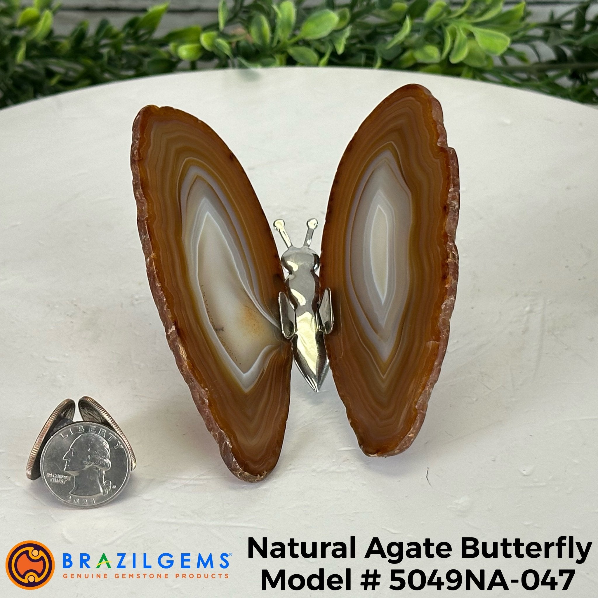 Small Natural Brazilian Agate "Butterfly Wings", ~4" Length #5049NA - Brazil GemsBrazil GemsSmall Natural Brazilian Agate "Butterfly Wings", ~4" Length #5049NAAgate Butterfly Wings5049NA-047