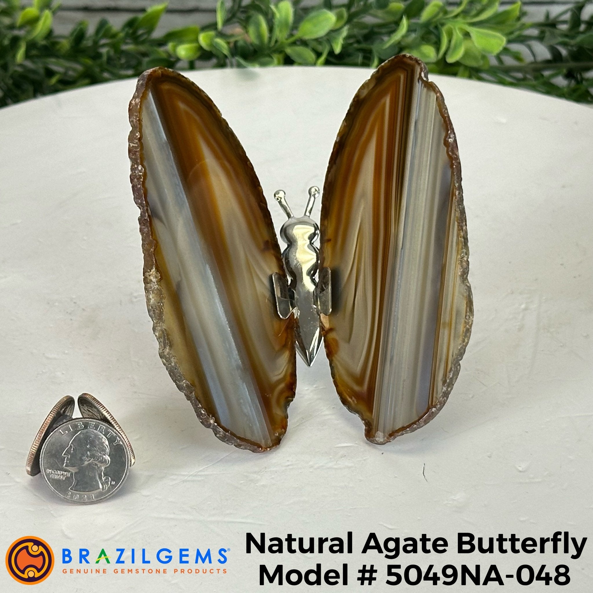 Small Natural Brazilian Agate "Butterfly Wings", ~4" Length #5049NA - Brazil GemsBrazil GemsSmall Natural Brazilian Agate "Butterfly Wings", ~4" Length #5049NAAgate Butterfly Wings5049NA-048
