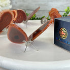 Small Orange Agate "Butterfly Wings", ~4" Length #5049OA - Brazil GemsBrazil GemsSmall Orange Agate "Butterfly Wings", ~4" Length #5049OAAgate Butterfly Wings5049OA-007