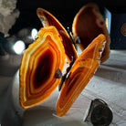 Small Orange Agate "Butterfly Wings", ~4" Length #5049OA - Brazil GemsBrazil GemsSmall Orange Agate "Butterfly Wings", ~4" Length #5049OAAgate Butterfly Wings5049OA-007