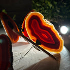 Small Orange Agate "Butterfly Wings", ~4" Length #5049OA - Brazil GemsBrazil GemsSmall Orange Agate "Butterfly Wings", ~4" Length #5049OAAgate Butterfly Wings5049OA-007