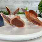 Small Orange Agate "Butterfly Wings", ~4" Length #5049OA - Brazil GemsBrazil GemsSmall Orange Agate "Butterfly Wings", ~4" Length #5049OAAgate Butterfly Wings5049OA-007