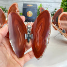 Small Orange Agate "Butterfly Wings", ~4" Length #5049OA - Brazil GemsBrazil GemsSmall Orange Agate "Butterfly Wings", ~4" Length #5049OAAgate Butterfly Wings5049OA-007