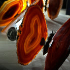 Small Orange Agate "Butterfly Wings", ~4" Length #5049OA - Brazil GemsBrazil GemsSmall Orange Agate "Butterfly Wings", ~4" Length #5049OAAgate Butterfly Wings5049OA-007