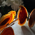 Small Orange Agate "Butterfly Wings", ~4" Length #5049OA - Brazil GemsBrazil GemsSmall Orange Agate "Butterfly Wings", ~4" Length #5049OAAgate Butterfly Wings5049OA-007