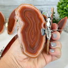 Small Orange Agate "Butterfly Wings", ~4" Length #5049OA - Brazil GemsBrazil GemsSmall Orange Agate "Butterfly Wings", ~4" Length #5049OAAgate Butterfly Wings5049OA-007